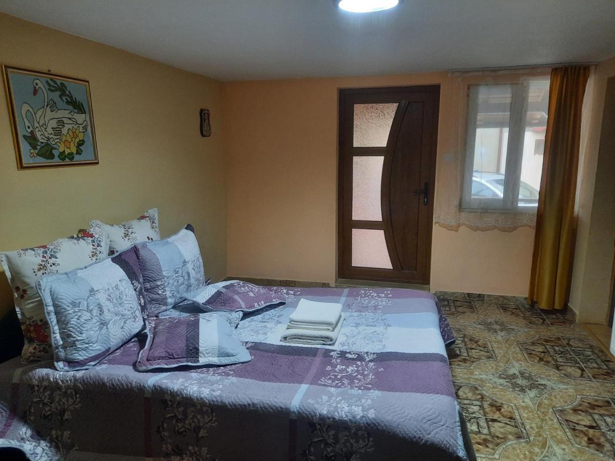 Casa Andreia Villa Гура Хуморулуй Екстериор снимка