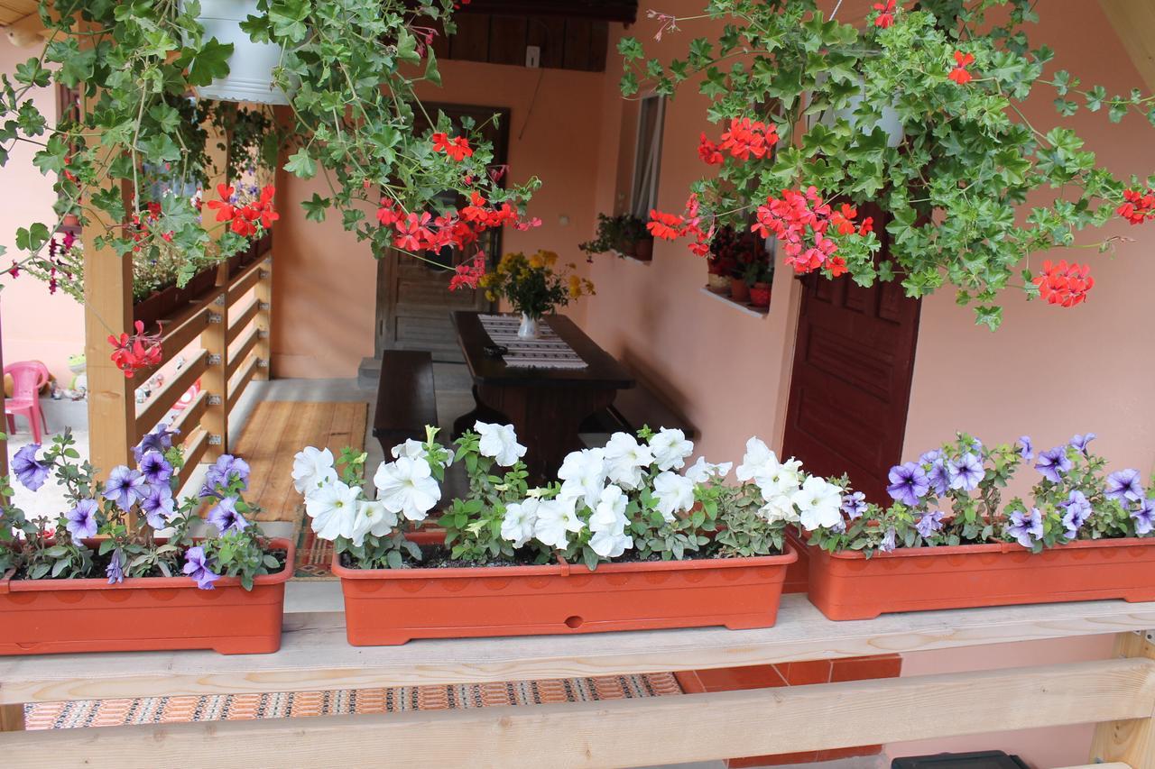 Casa Andreia Villa Гура Хуморулуй Екстериор снимка